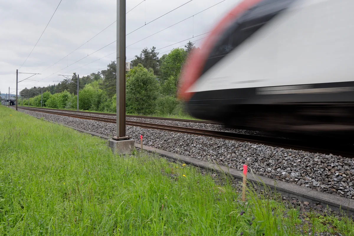 Gleise mit einer S-Bahn.